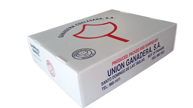 CARNES_cartoflex-caja-