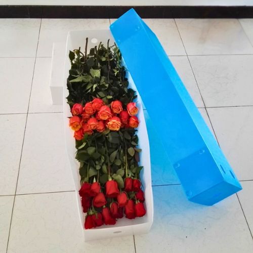 cajas carton plastico cartonplast para flores